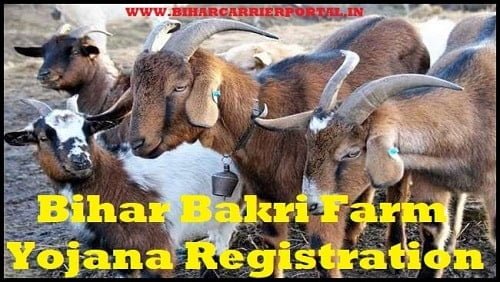 Bihar Bakri Farm Yojana Online Registration